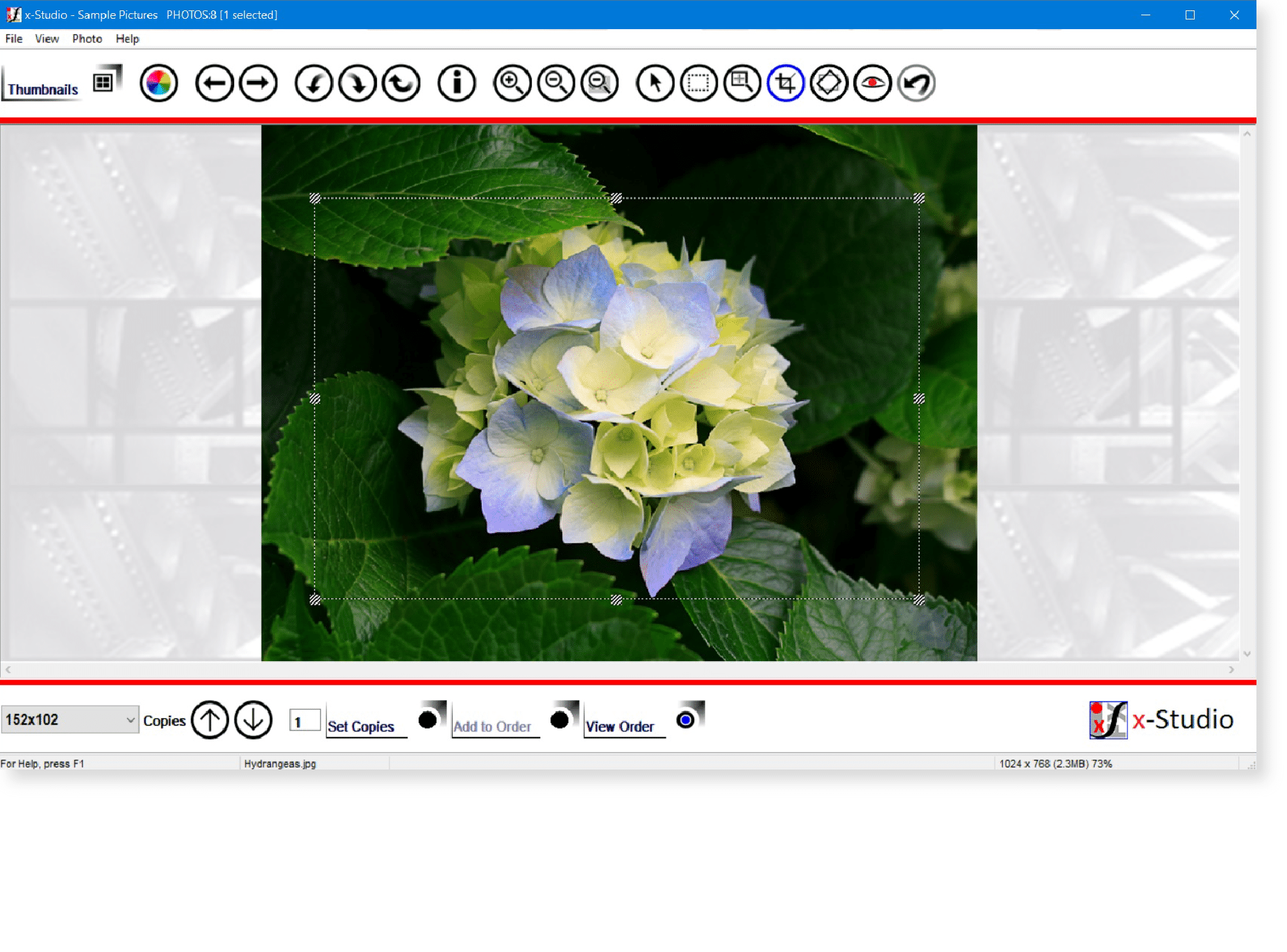 Make simple changes like zoom and crop to prepare a batch of images for printing